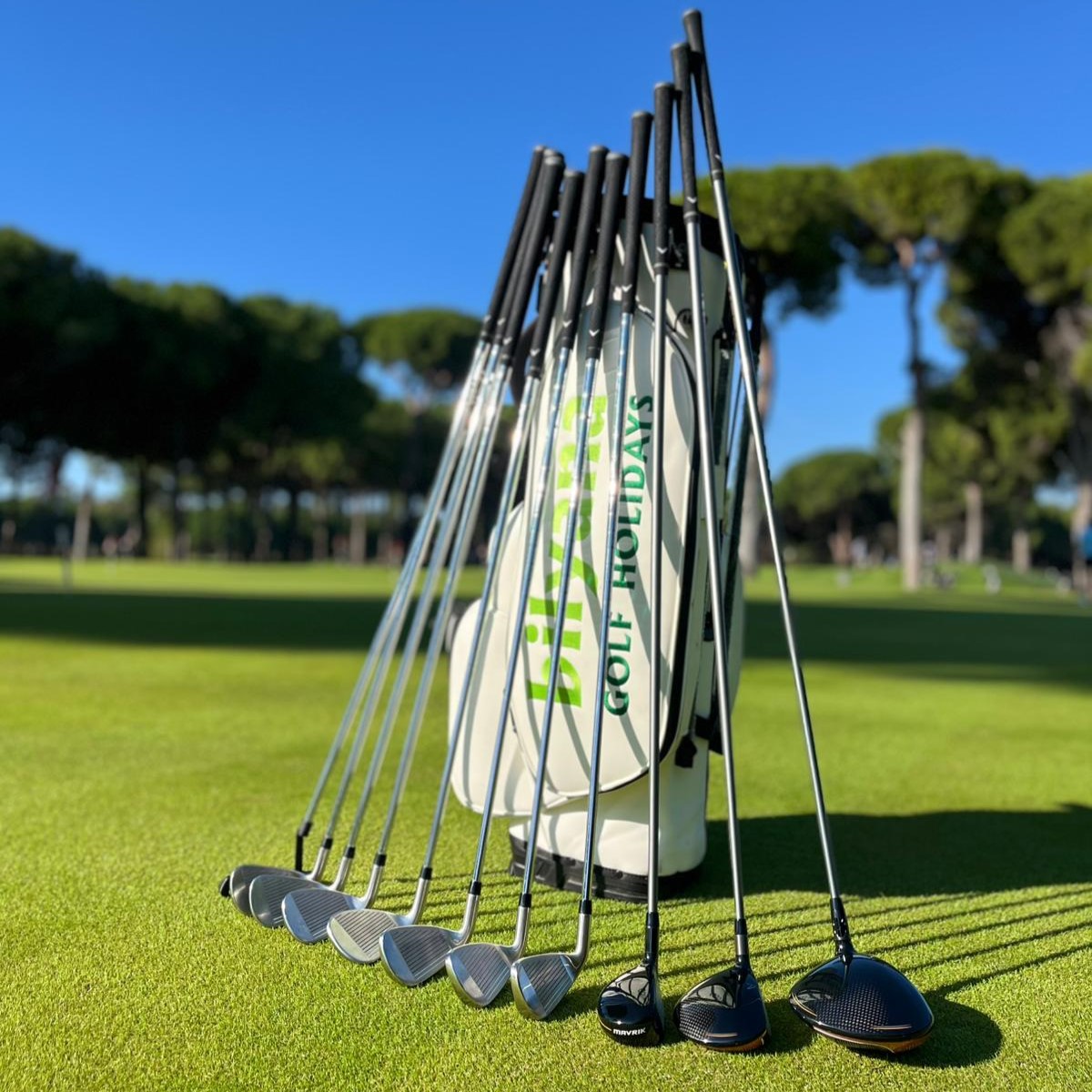 https://fvihoiszeemepukremote.bilyanagolf.com/files/imaj/clubhire1.jpg